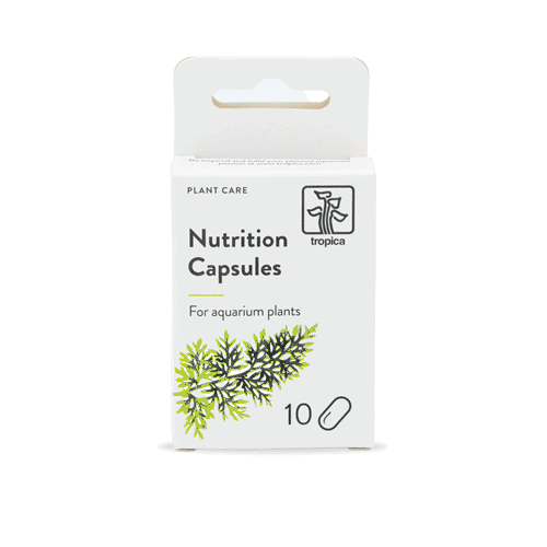 Tropica Nutrition Capsules