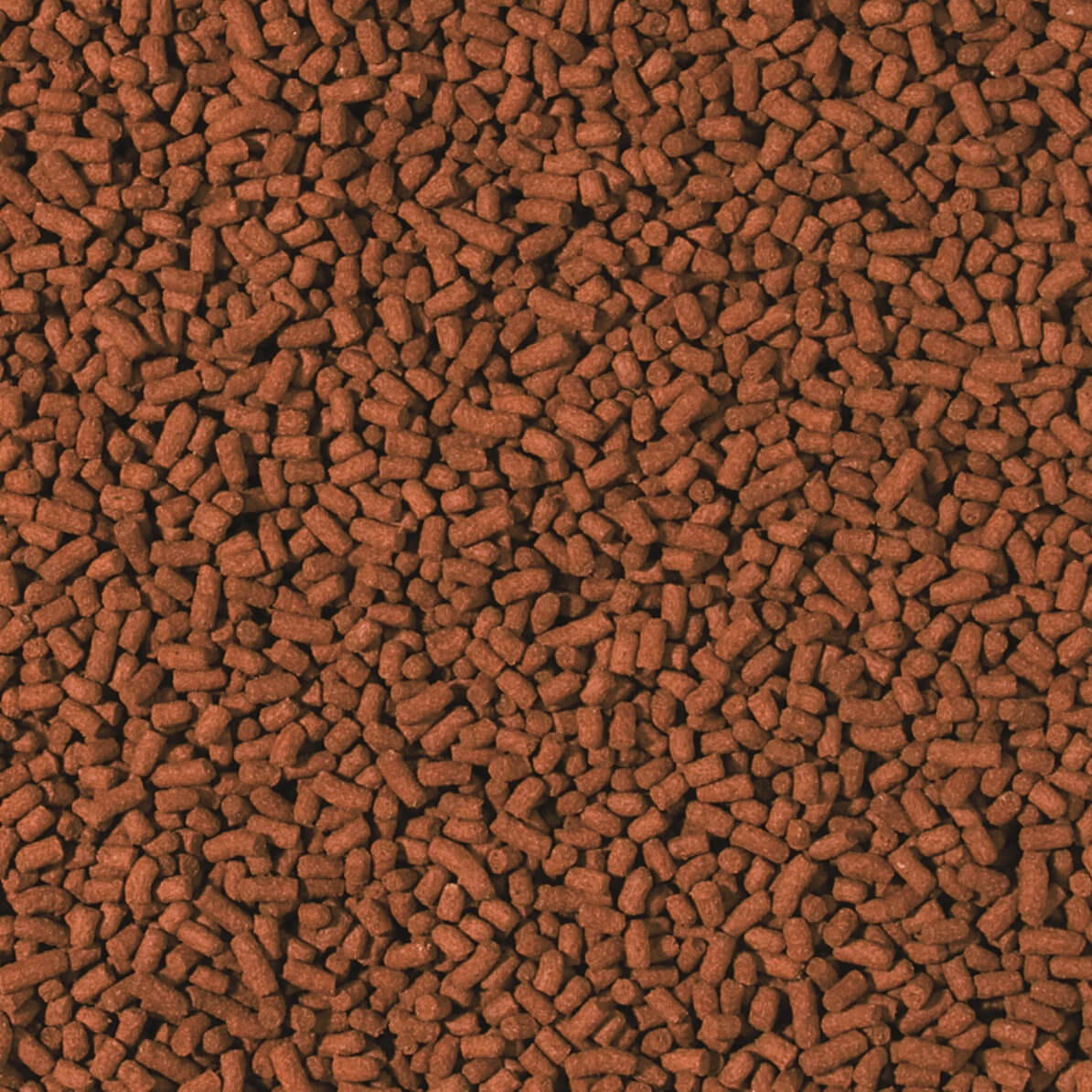 Garnelen & Welsfutter