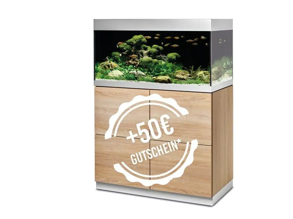 Oase HighLine 200 Optiwhite Aquarium +50€ Gutschein*