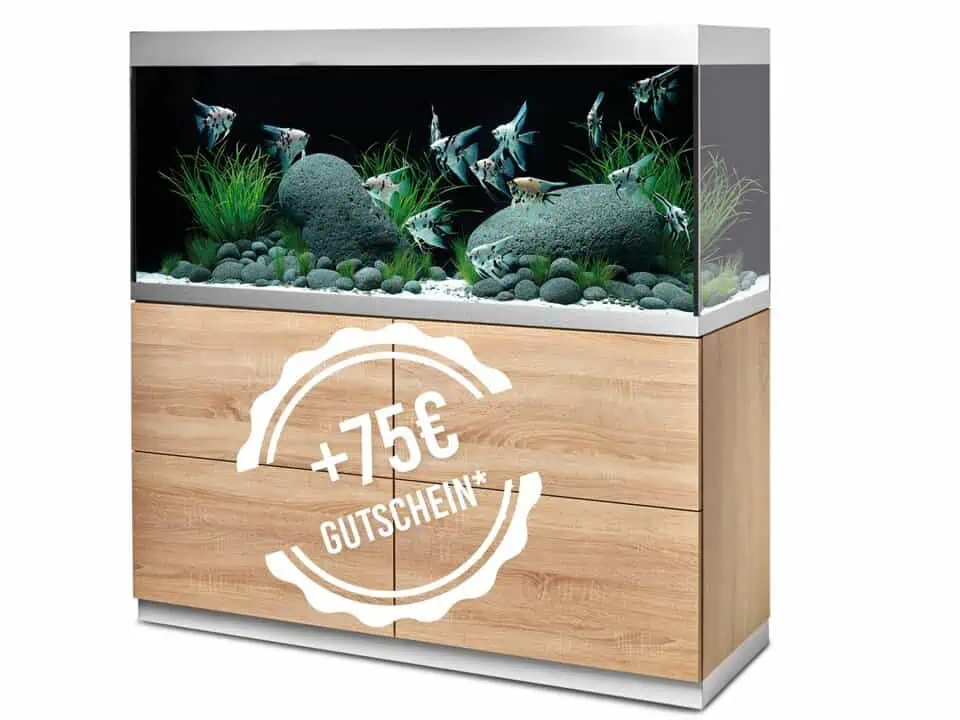 Oase HighLine 400 Optiwhite Aquarium +75€ Gutschein*