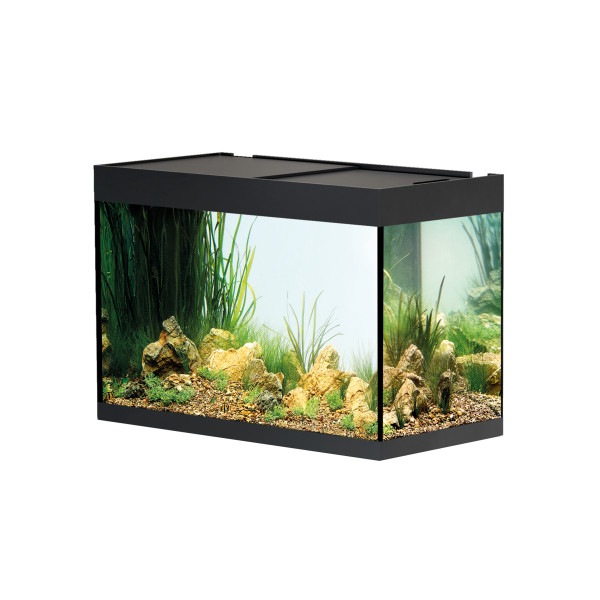 Aquarium ohne Schrank