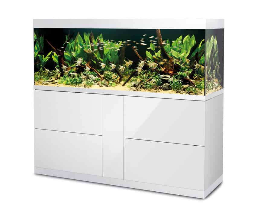 Oase HighLine 600 Optiwhite Aquarium +100€ Gutschein*