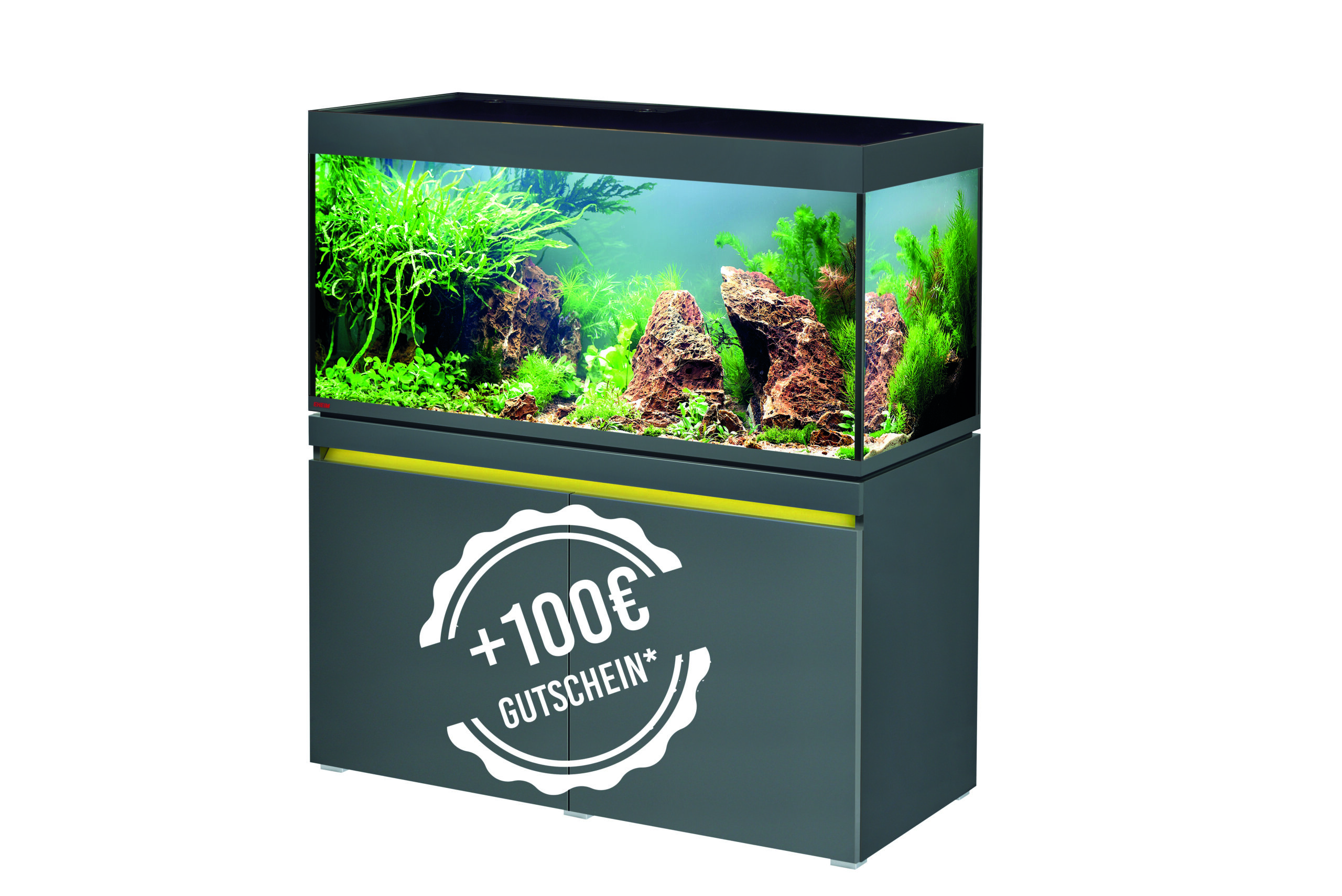 Eheim Aquarium-Kombination Incpiria 430 Gold 430 l - Limited Edition FSC®  kaufen bei OBI