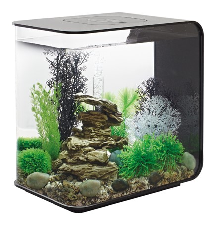 Nano Aquarium