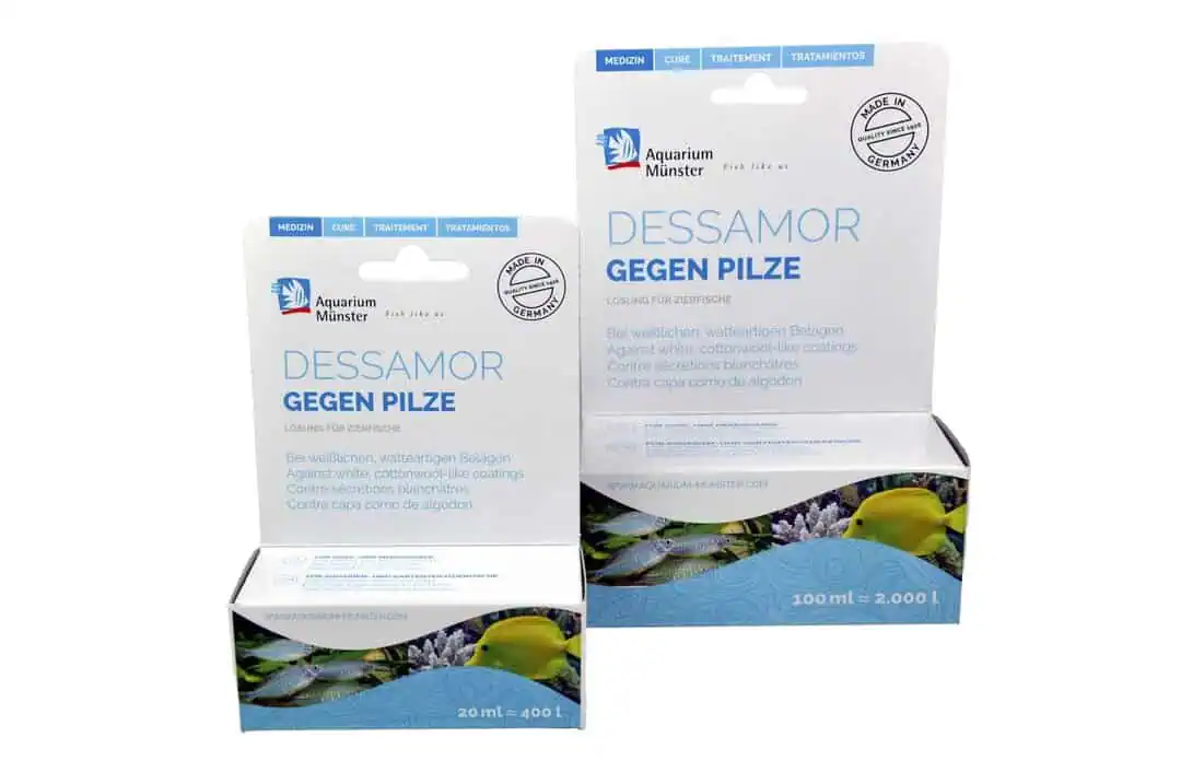 Aquarium Münster Dessamor 20ml - gegen Verpilzung