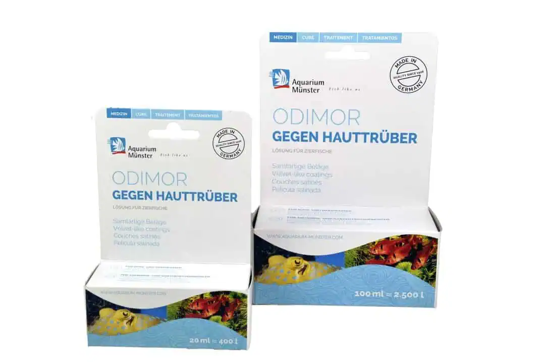 Aquarium Münster Odimor 20ml - gegen Hauttrüber