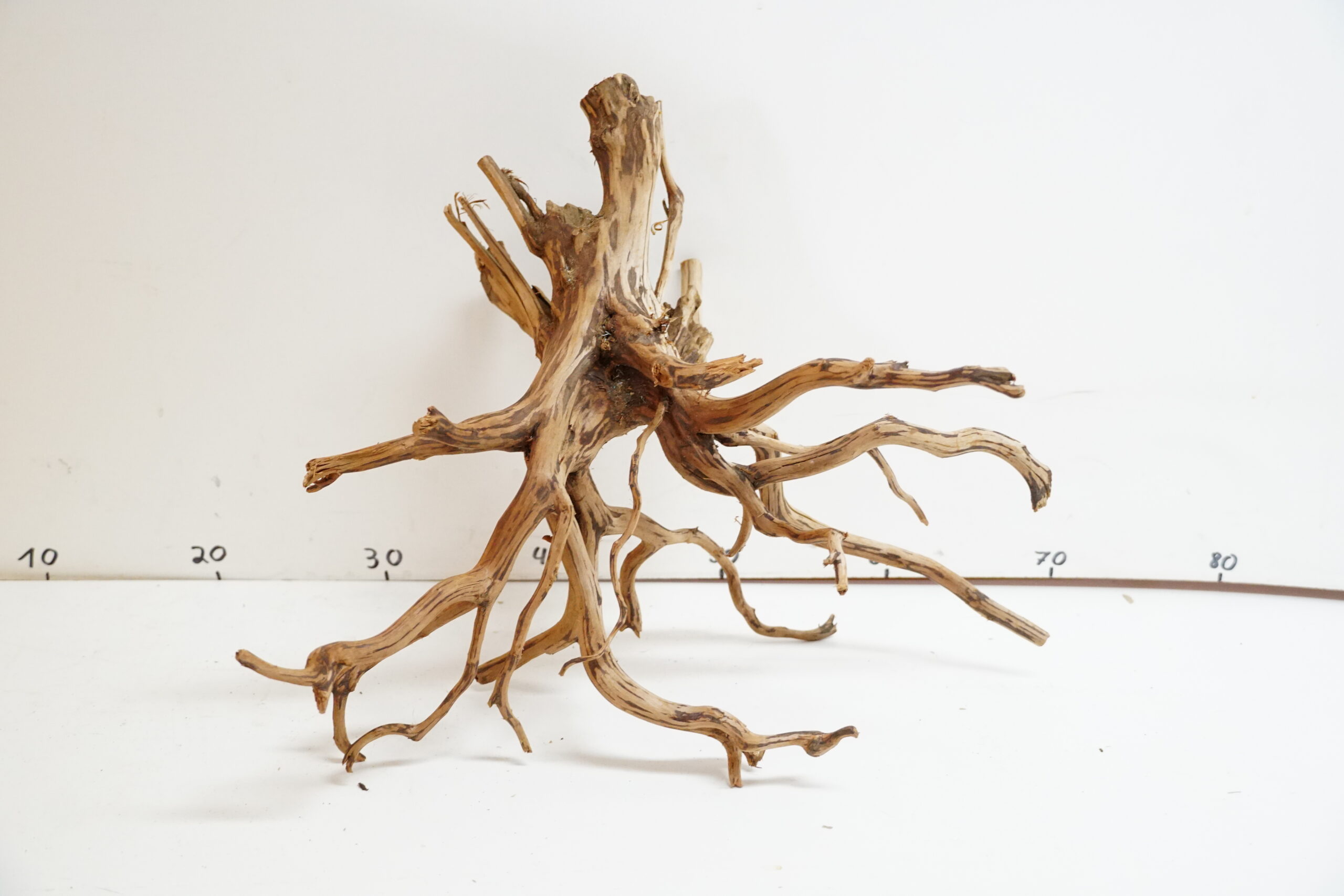 Red Spider Wood 3