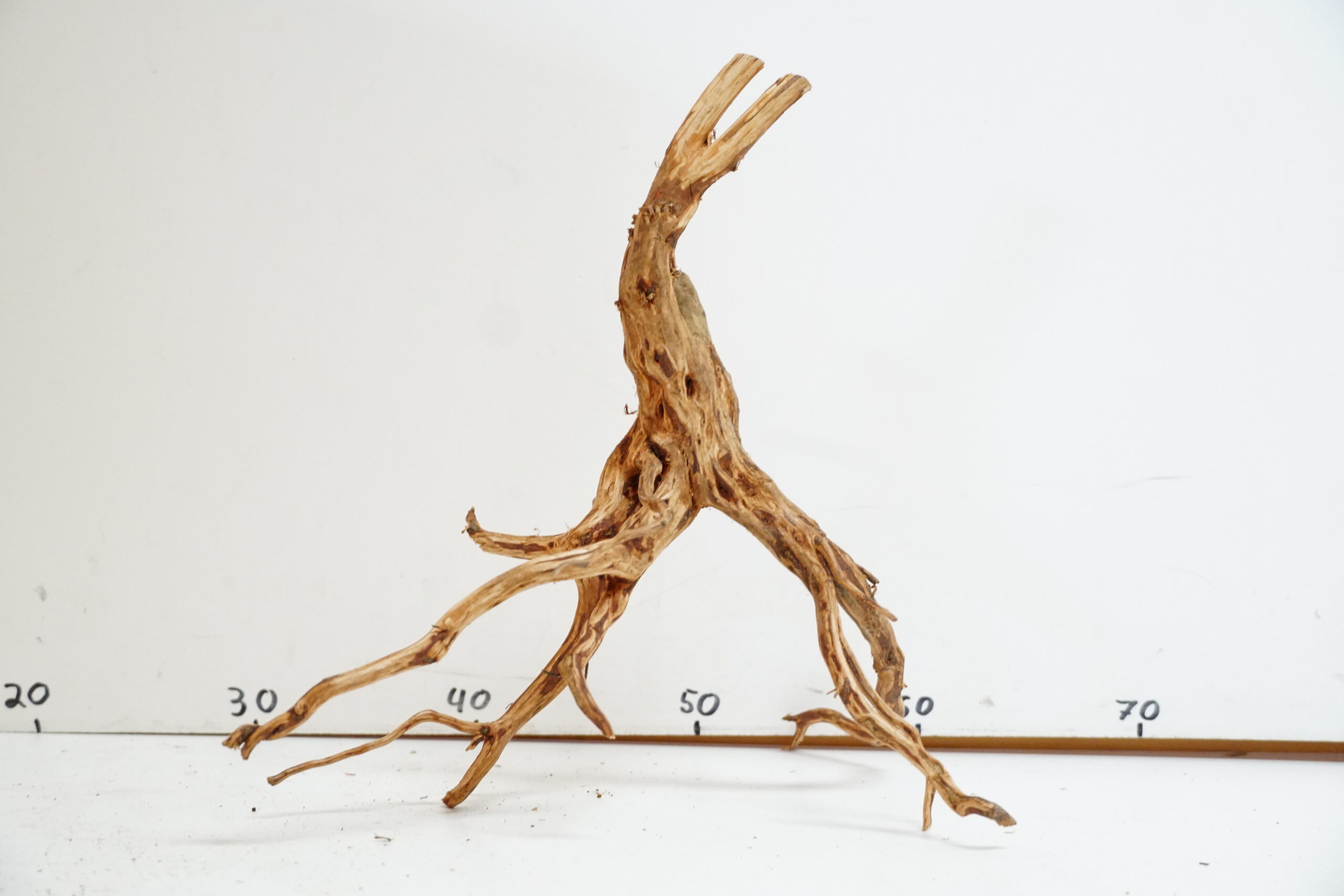 Red Spider Wood 9