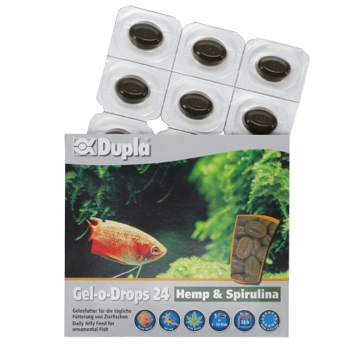 Spirulina aquarium hotsell