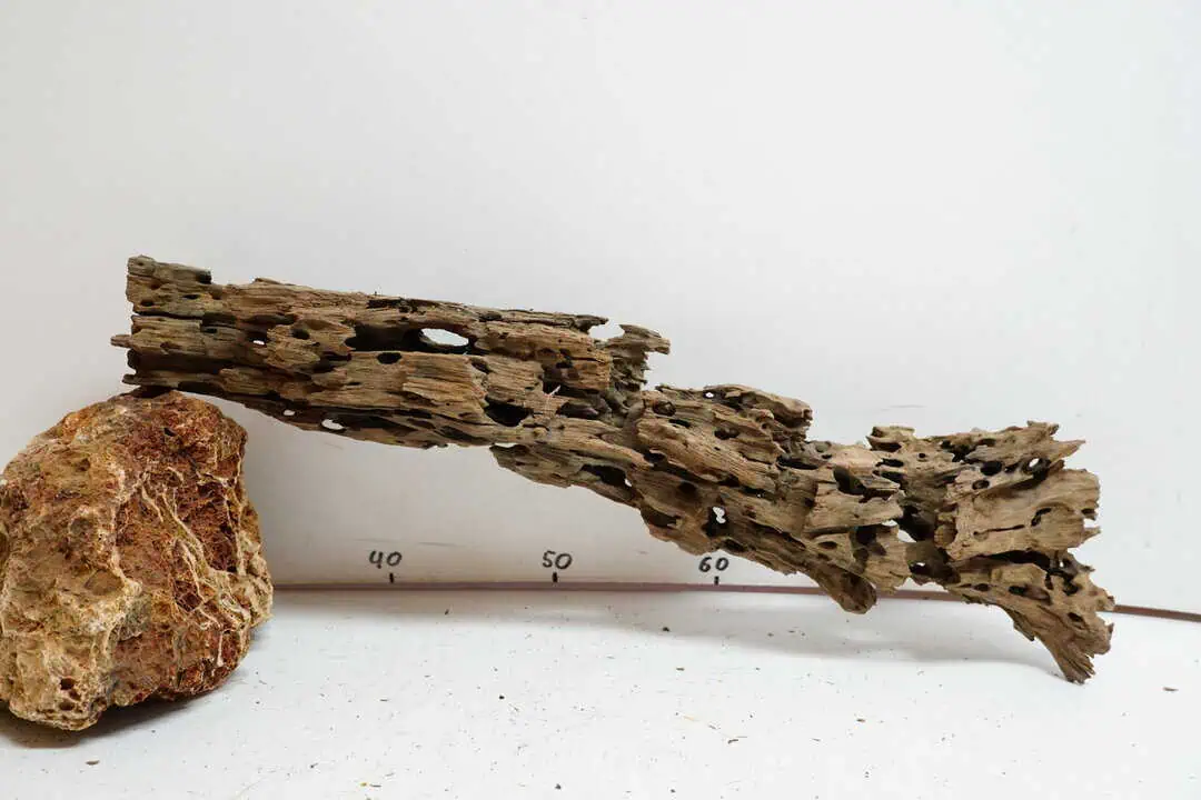 Honey Comb XL - Wabenholz