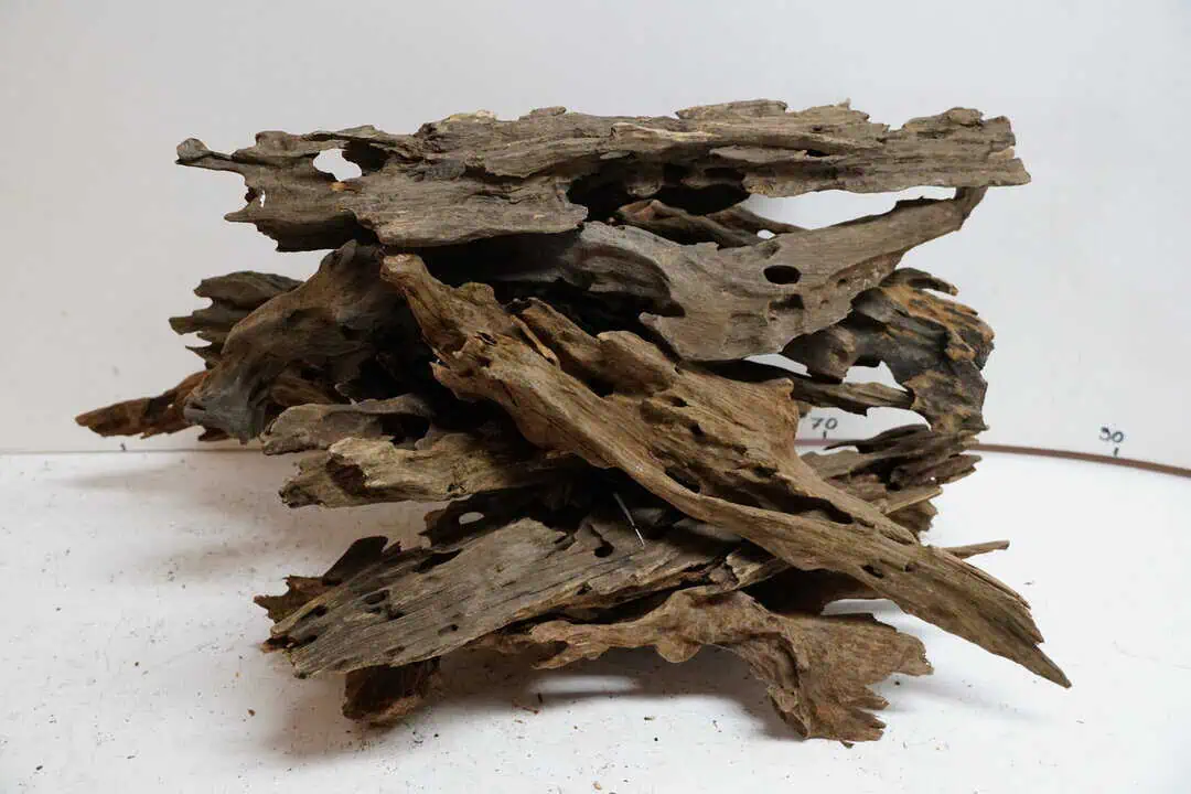 Honey Comb - Wabenholz