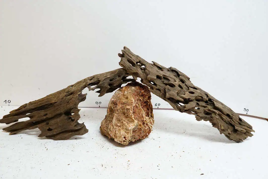 Honey Comb L - Wabenholz