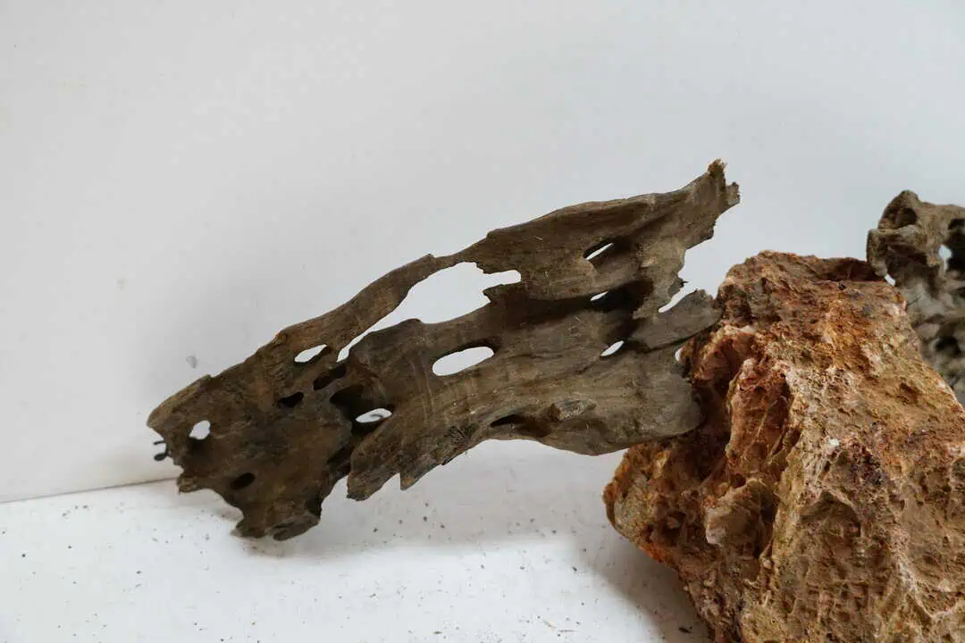 Honey Comb M - Wabenholz