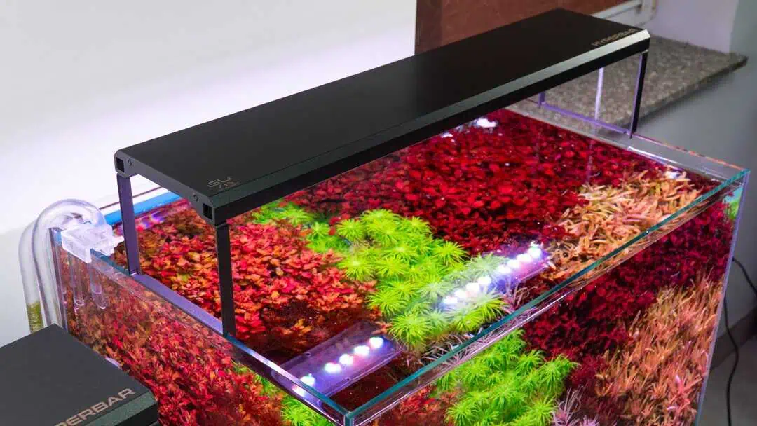 Skylight Hyperbar F WRGB - Aquarium LED