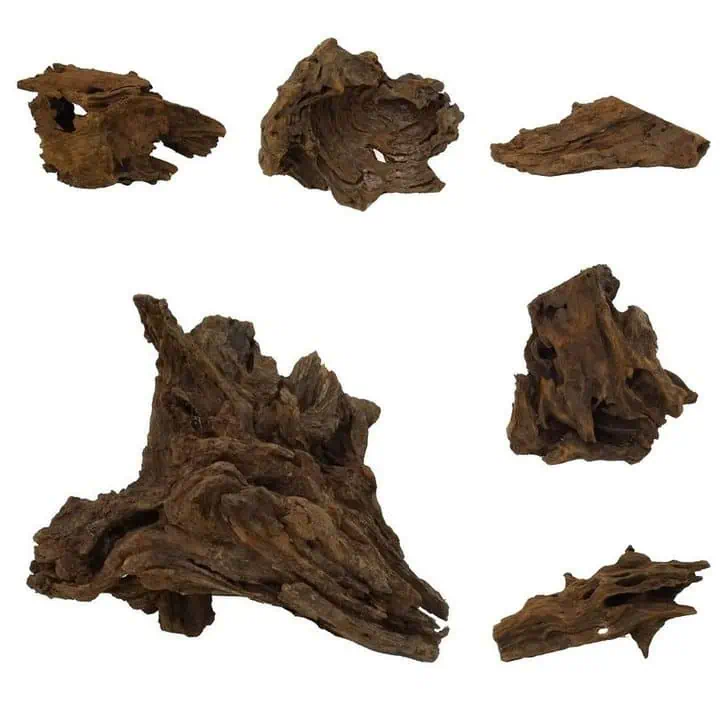 Mangrovenwurzel M 20-40cm