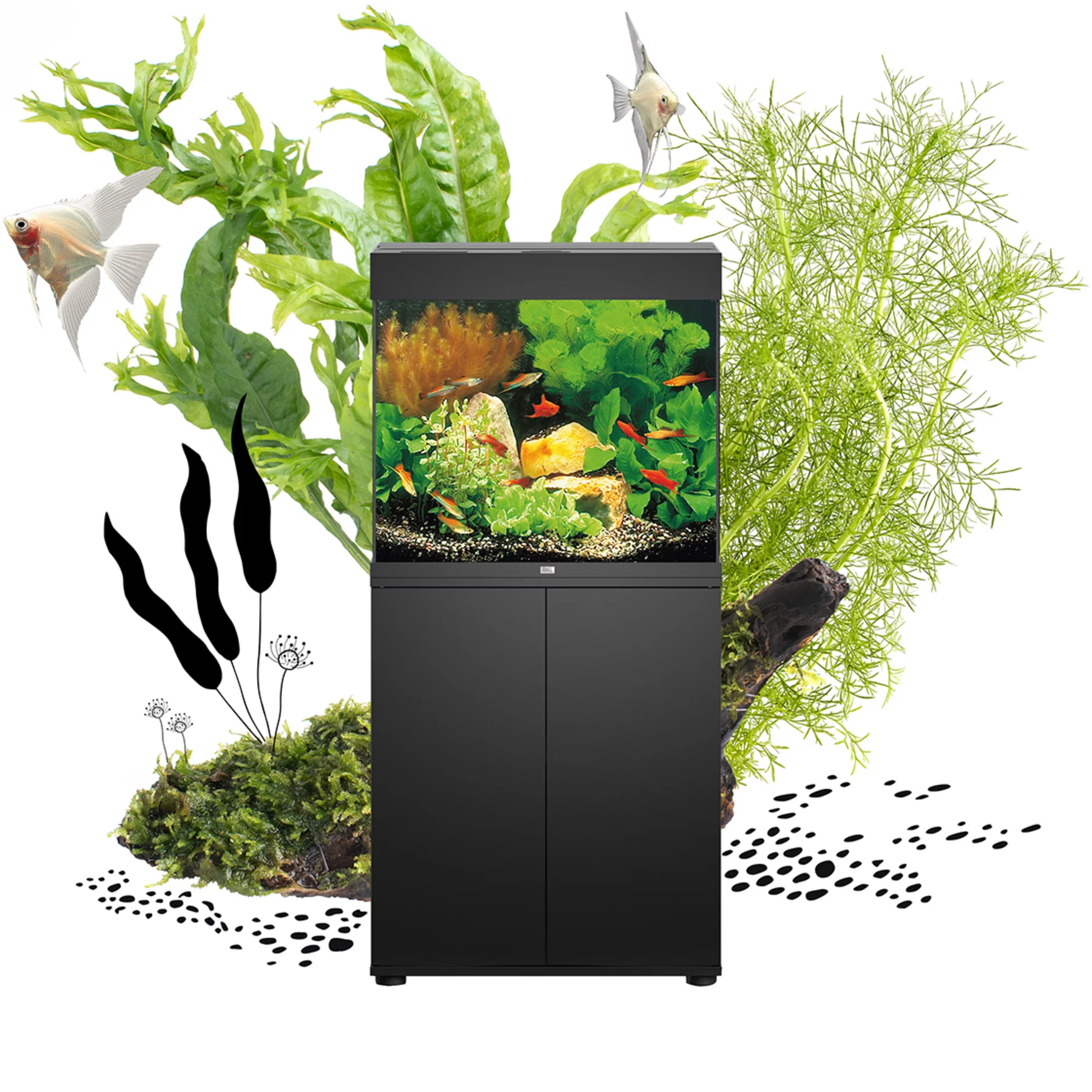 Juwel Lido 120 LED Komplettaquarium inkl. 30€ Gutschein