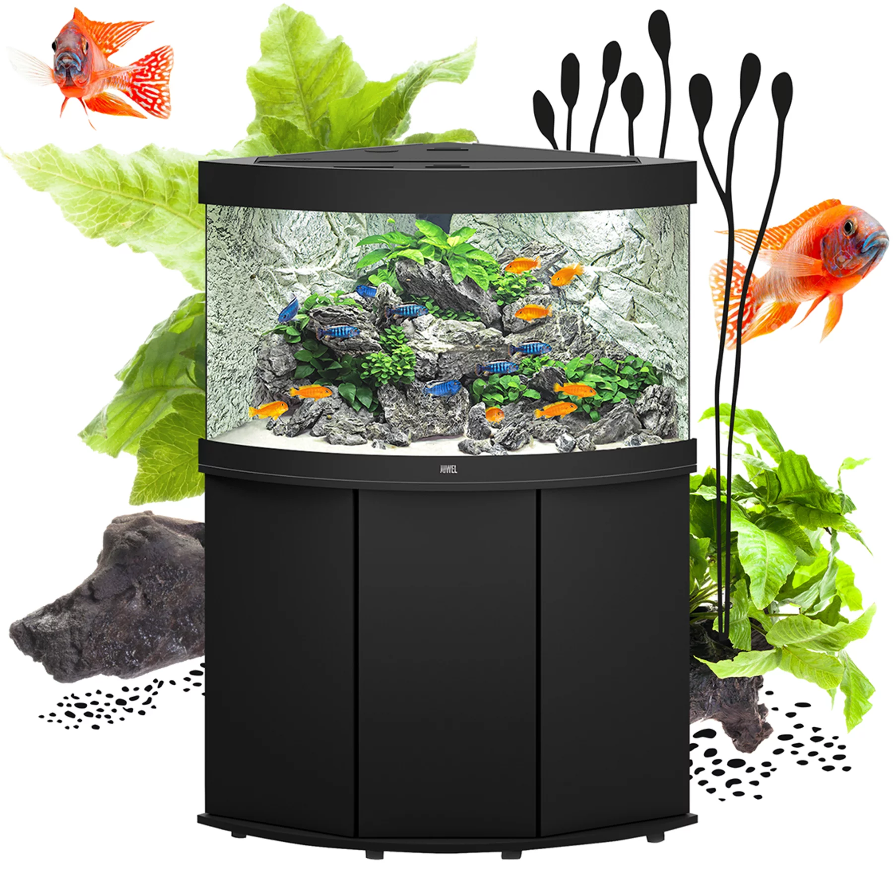 Juwel Trigon 350 LED Komplettaquarium inkl. 75€ Gutschein